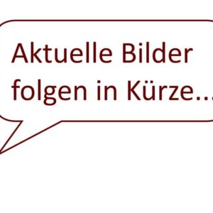 Lenovo 135W (Rundstecker) mit Netzkabel
