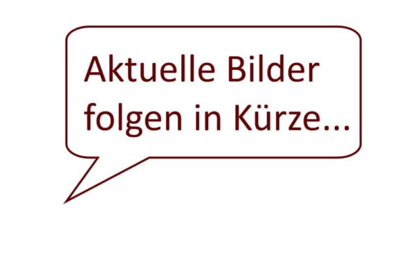 Lenovo 135W (Rundstecker) mit Netzkabel